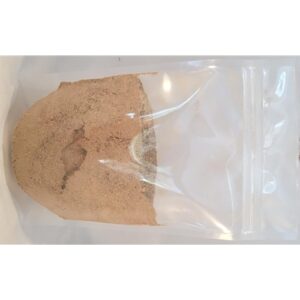 Dried Oyster Mushroom Powder