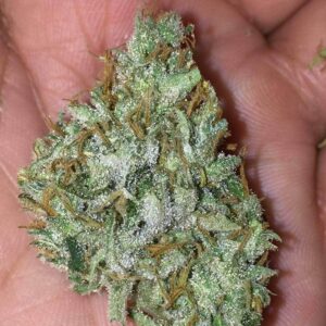 buy Time Traveler kush online